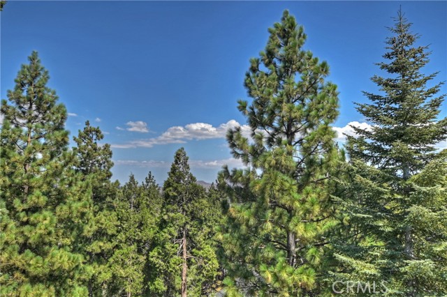 Detail Gallery Image 2 of 58 For 303 N Fairway Dr, Lake Arrowhead,  CA 92352 - 4 Beds | 2/1 Baths