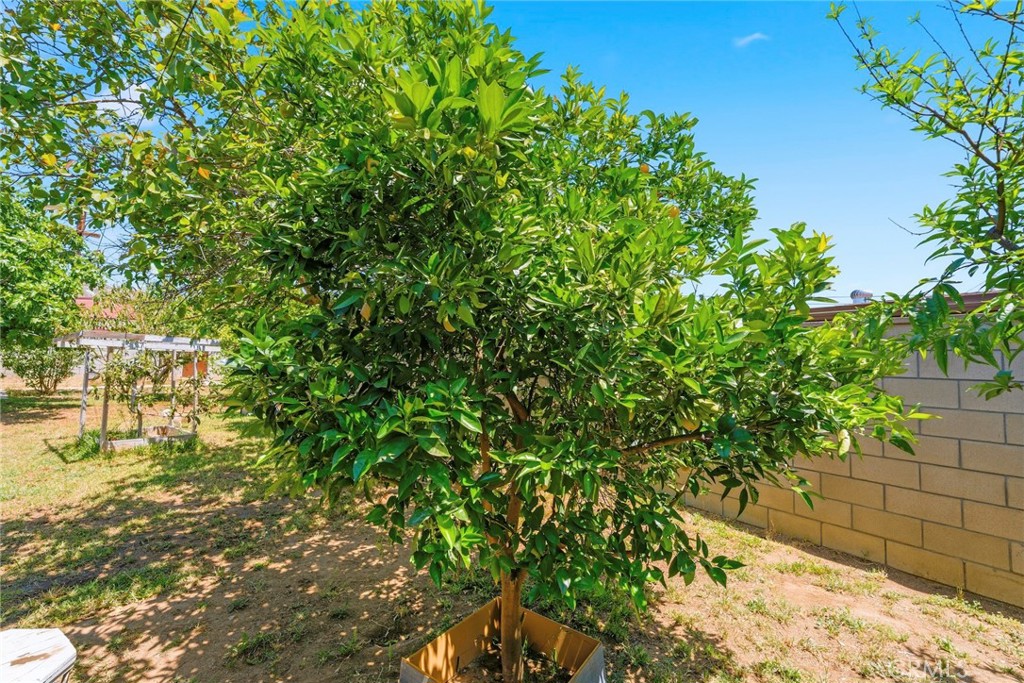 https://media.crmls.org/medias/c9e385b7-364b-4ad3-b3a0-571a4da8a81f.jpg?preset=X-Large