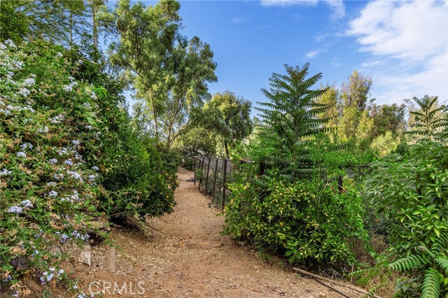 Detail Gallery Image 71 of 72 For 204 Saint Catherine St, Redlands,  CA 92374 - 6 Beds | 5/2 Baths