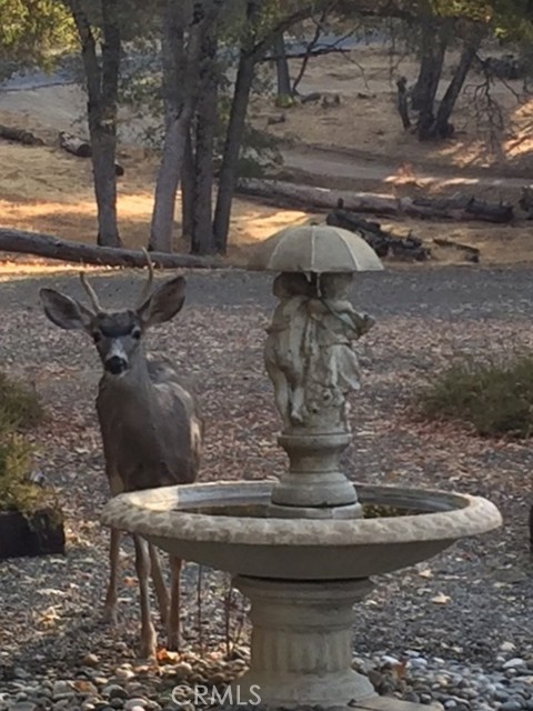 Detail Gallery Image 20 of 38 For 39406 John West Rd, Oakhurst,  CA 93644 - 4 Beds | 3 Baths