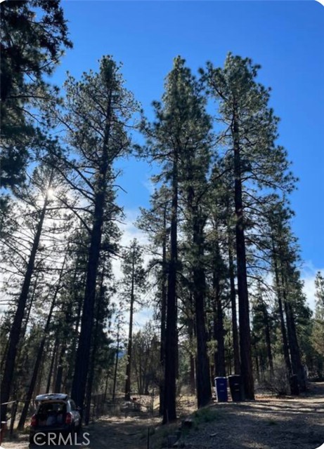 605 Kean Way, Big Bear City CA: https://media.crmls.org/medias/c9f37421-ba93-46d6-8b85-99224bb47566.jpg