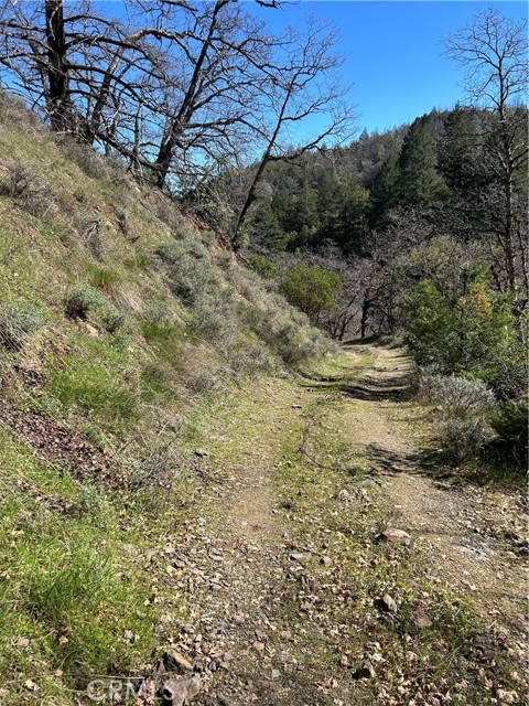 Detail Gallery Image 10 of 30 For 14903 Western Mine Rd, Middletown,  CA 95461 - – Beds | – Baths