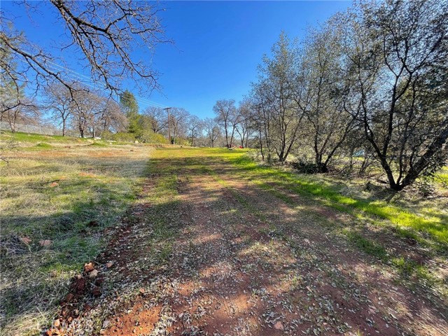 Detail Gallery Image 7 of 10 For 0 Olive, Oroville,  CA 95966 - – Beds | – Baths