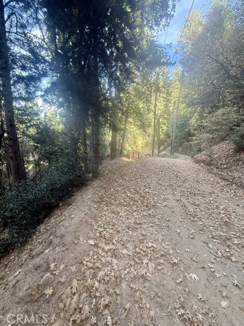 61 Lot - El Valle Road, Cedarpines Park CA: https://media.crmls.org/medias/c9f7314a-9439-4f35-9049-272500a5899f.jpg