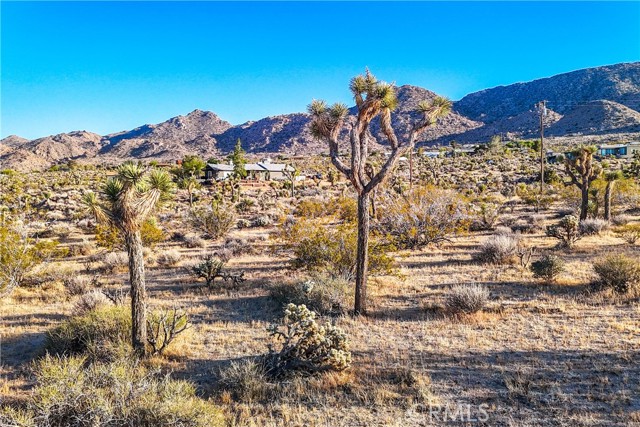 Detail Gallery Image 47 of 55 For 8173 Fleur Dr, Joshua Tree,  CA 92252 - 2 Beds | 3 Baths