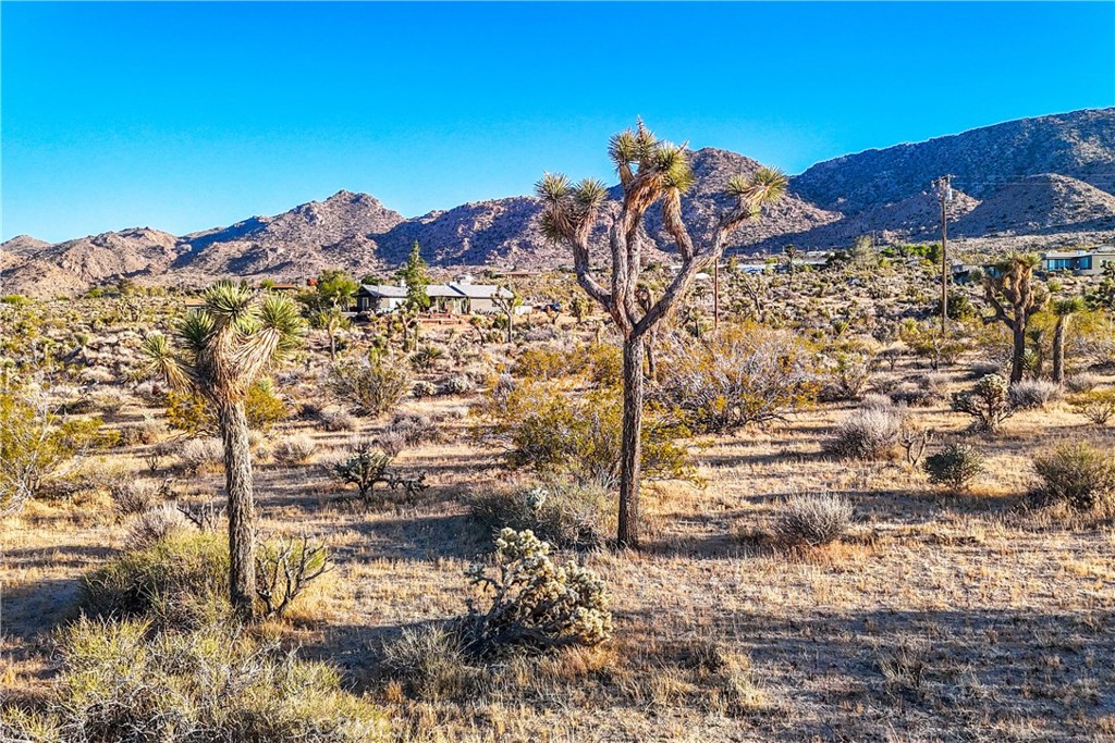 https://media.crmls.org/medias/c9f8487a-63fb-46e8-ac8d-c64a32d93272.jpg?preset=X-Large