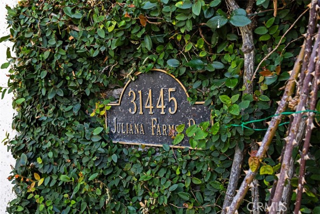 Detail Gallery Image 61 of 61 For 31445 Juliana Farms Road, San Juan Capistrano,  CA 92675 - 6 Beds | 5/1 Baths