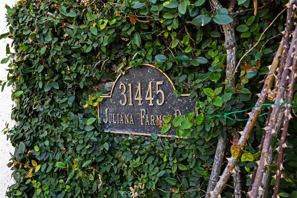 https://media.crmls.org/medias/c9f95ca8-53de-440f-805f-5c3f022546c8.jpg?preset=X-Large