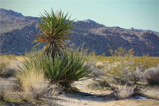 Detail Gallery Image 14 of 14 For 6400 Block Twentynine Palms Hwy, Twentynine Palms,  CA 92277 - – Beds | – Baths