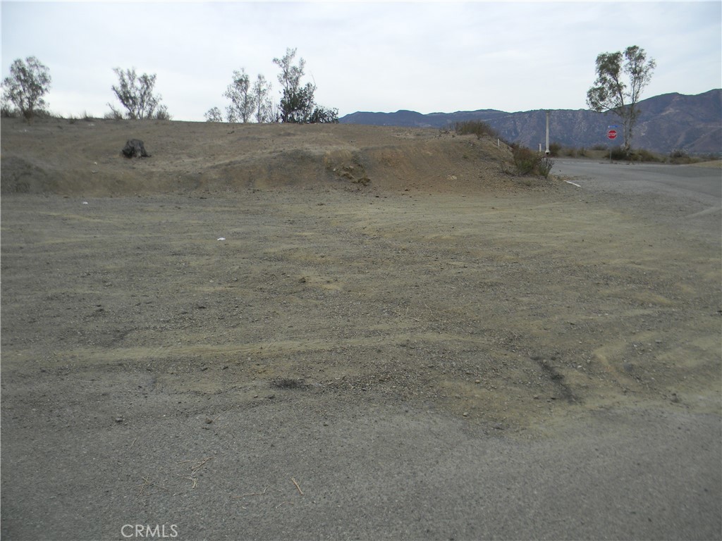 MLS #SW25275079 image #3