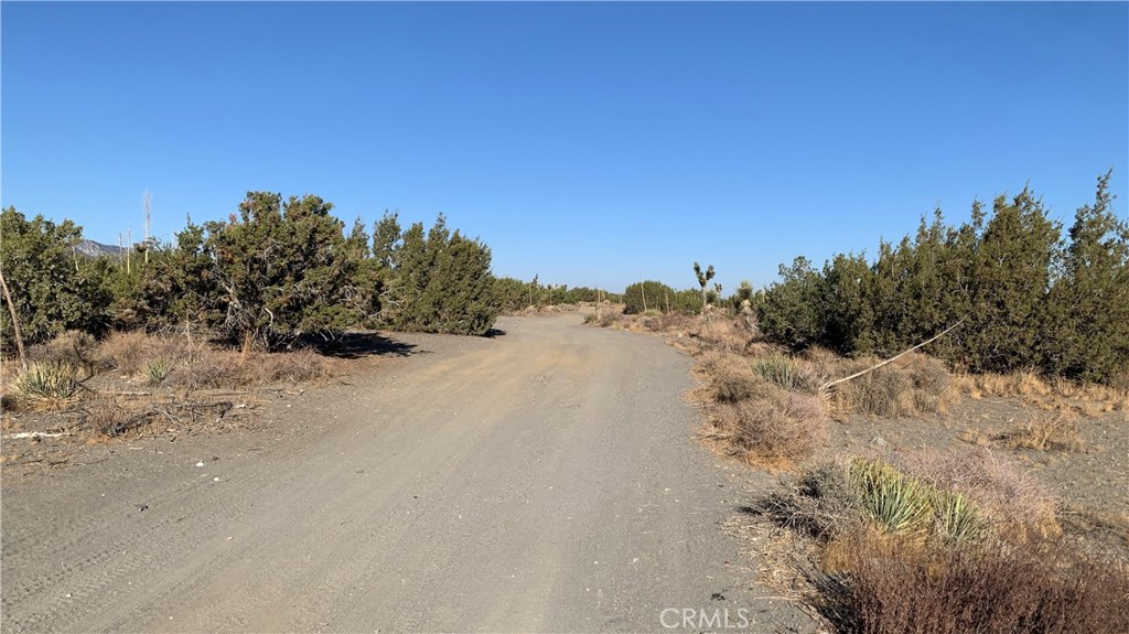 MLS #PW26152619 image #7