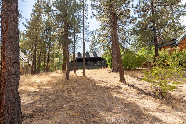 Detail Gallery Image 28 of 34 For 615 Chipmunk Ln, Big Bear Lake,  CA 92315 - 3 Beds | 1 Baths