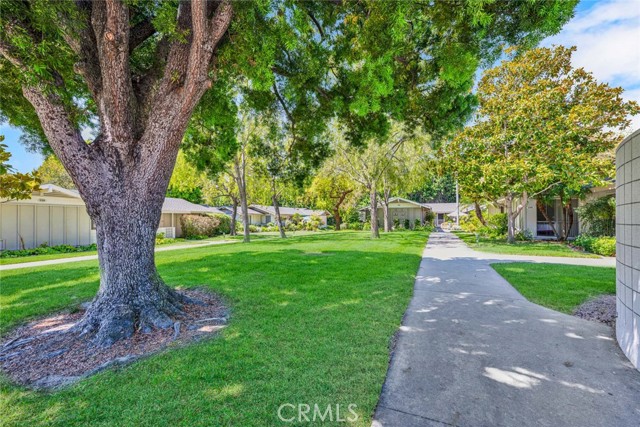 Detail Gallery Image 3 of 31 For 336 Avenida Sevilla #B,  Laguna Woods,  CA 92637 - 2 Beds | 1/1 Baths