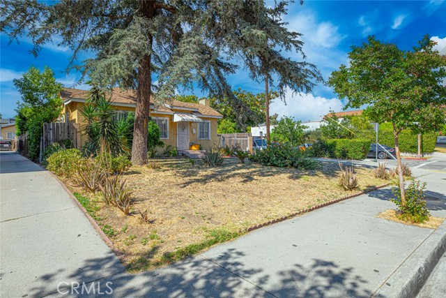 913 East Maple Street photo 5