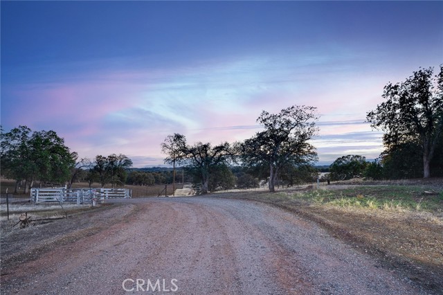 Detail Gallery Image 1 of 1 For 0 Burning Tree Rd, Red Bluff,  CA 96080 - – Beds | – Baths