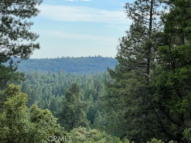 12444 Manion Canyon Road, Grass Valley, CA 95945