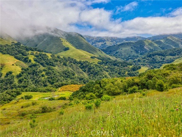 Detail Gallery Image 67 of 70 For 7515 Santa Rosa Creek Rd, Cambria,  CA 93428 - 2 Beds | 1 Baths