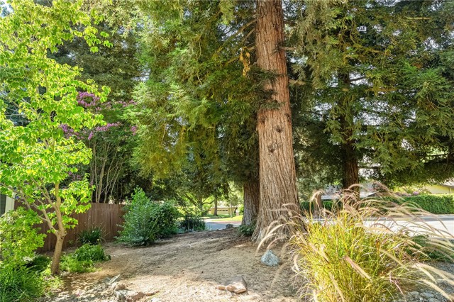 Detail Gallery Image 47 of 61 For 493 Autumn Gold Dr, Chico,  CA 95973 - 4 Beds | 2 Baths