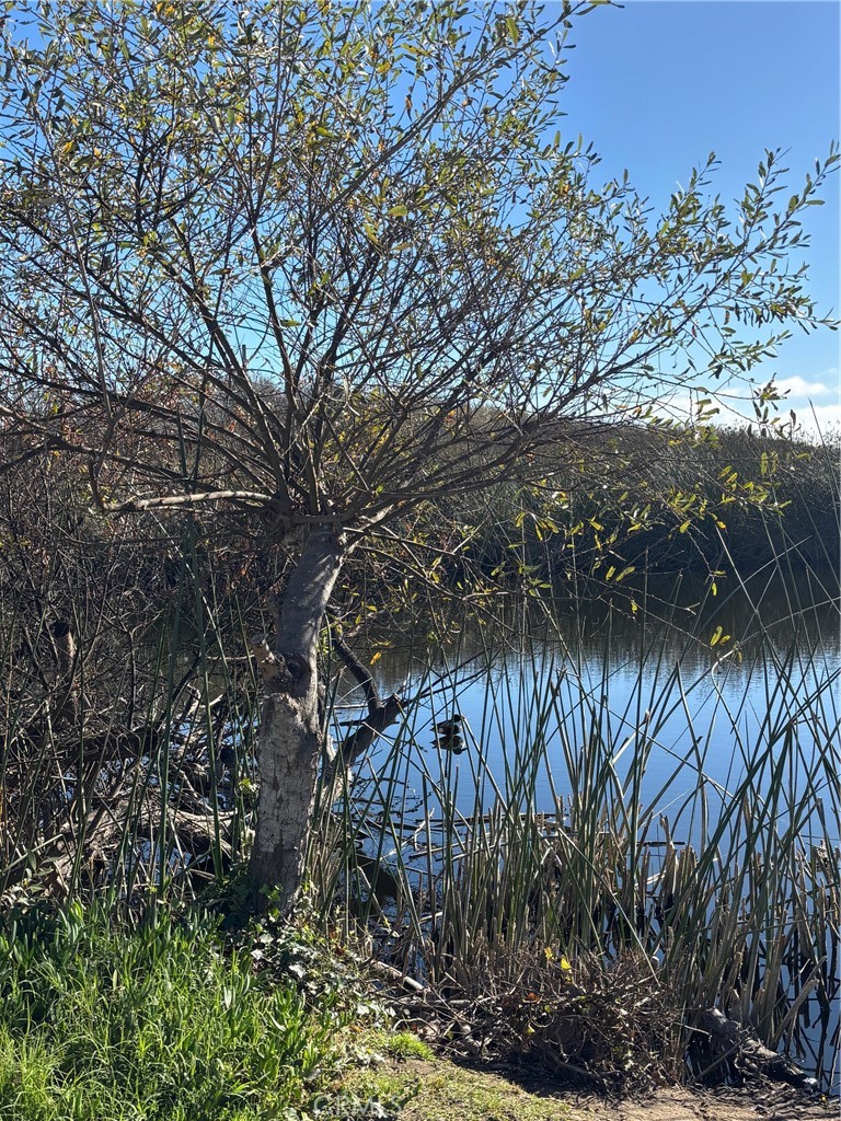 MLS #PI25267582 image #6