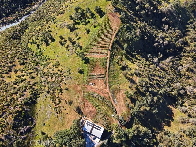 Image 32 of 36 For 3029 Freshwater