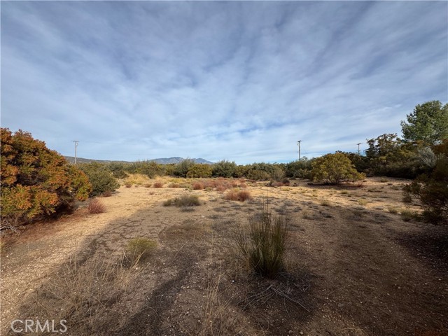 Detail Gallery Image 5 of 12 For 59255 Breiner Valley Rd, Anza,  CA 92539 - – Beds | – Baths