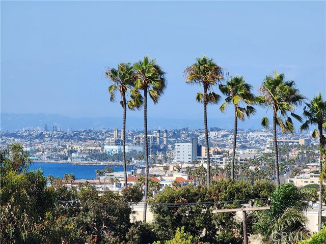 420 Palos Verdes Boulevard, Redondo Beach CA: https://media.crmls.org/medias/ca28c90b-2631-4b63-afc2-e214a3a0c826.jpg