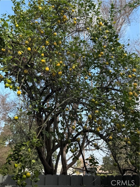 Detail Gallery Image 30 of 30 For 4325 Whitsett, Studio City,  CA 91604 - 3 Beds | 3 Baths