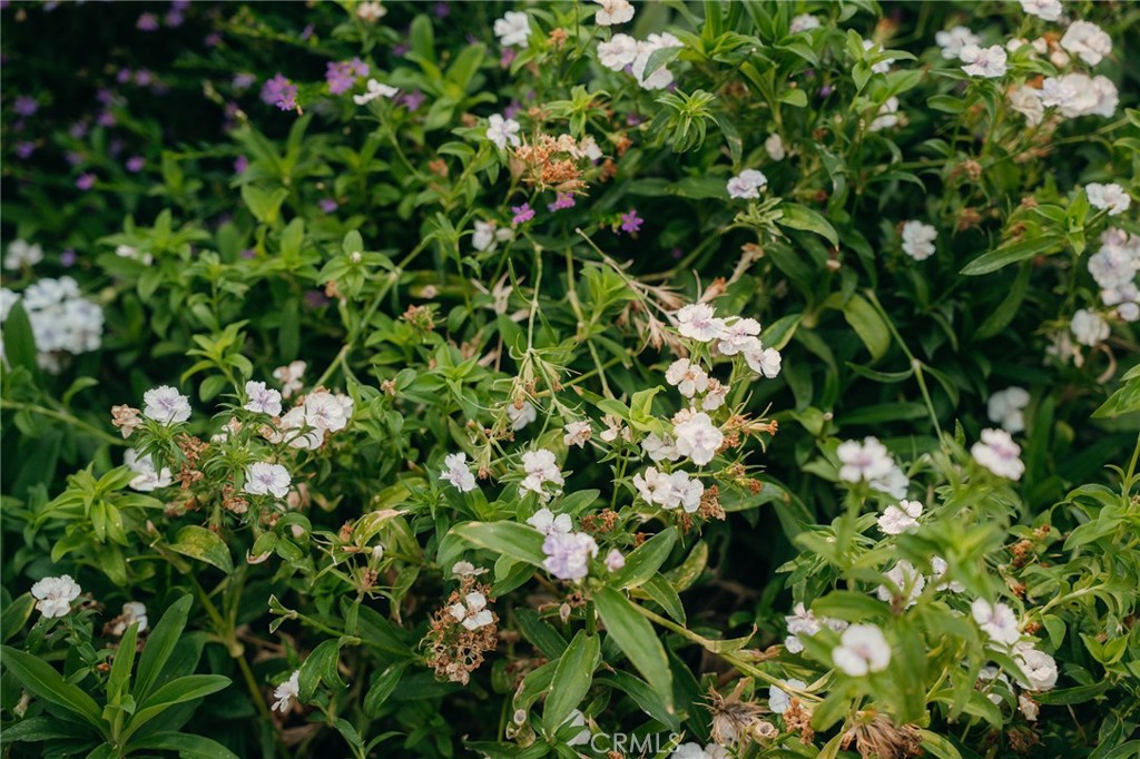 https://media.crmls.org/medias/ca2f812b-9c35-4f7e-93a3-5b92c7573465.jpg?preset=X-Large