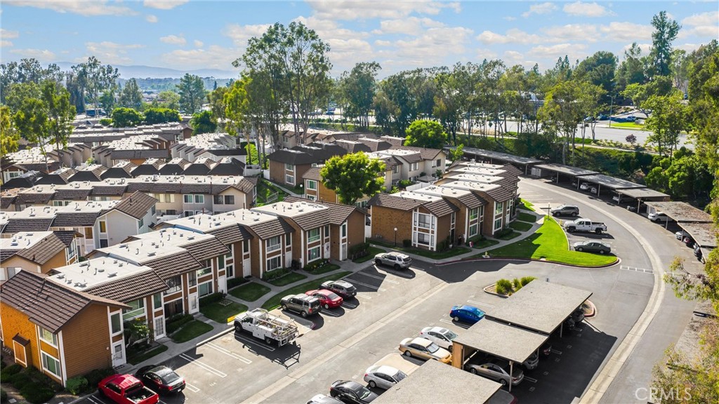 Ca38d61c Ccf9 4e94 8855 33d68fd91d37