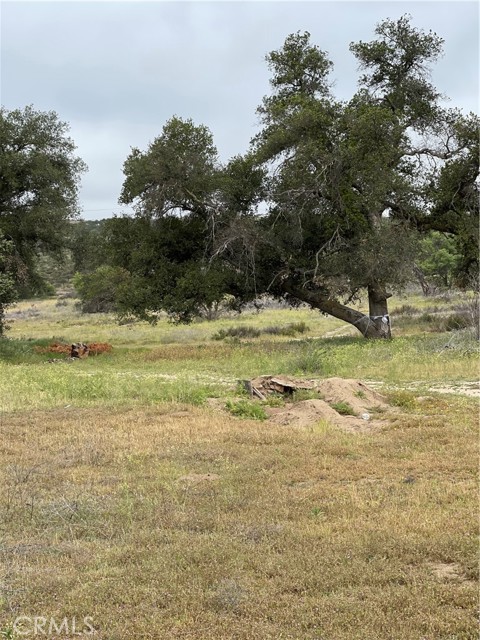 Front Image Thumbnail for CRSW26063096