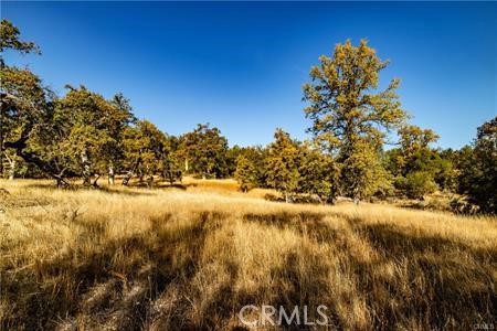 Detail Gallery Image 42 of 54 For 4816 Stumpfield Mountain Rd, Mariposa,  CA 95338 - 2 Beds | 2 Baths