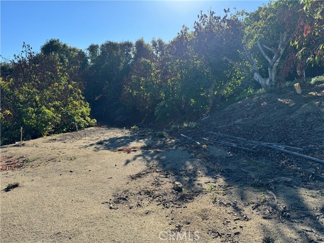 23192 De Anza Road, Temecula CA: https://media.crmls.org/medias/ca40065e-7679-4da0-8d3b-063c185d2464.jpg