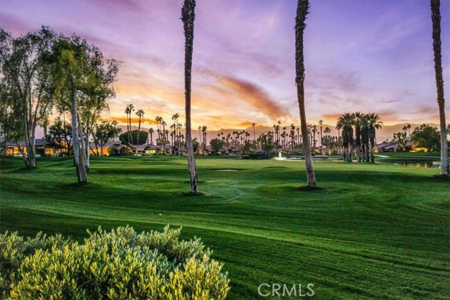 Detail Gallery Image 29 of 39 For 31 Blue River Drive, Palm Desert,  CA 92211 - 2 Beds | 2 Baths