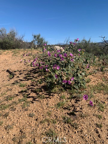 Detail Gallery Image 7 of 9 For 0 Inland, Aguanga,  CA 92536 - – Beds | – Baths