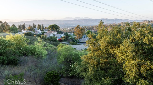 Detail Gallery Image 21 of 25 For 6000 E Ladera Ln, Anaheim Hills,  CA 92807 - 2 Beds | 2/1 Baths