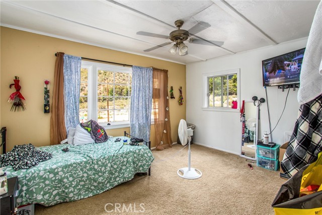 Detail Gallery Image 18 of 29 For 39581 Canyon Dr, Forest Falls,  CA 92339 - 4 Beds | 2 Baths