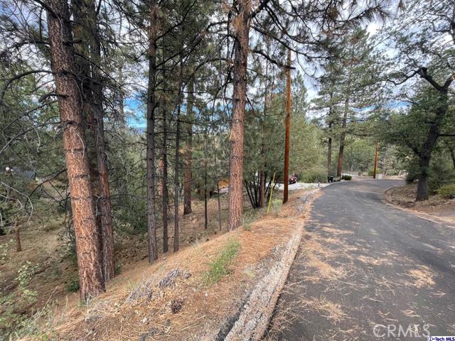 600 Travertine Road, Big Bear City, California 92314, ,Land,For Sale,600 Travertine Road,CRGD24038004