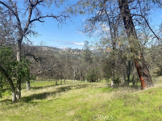 Detail Gallery Image 9 of 14 For 33930 Rivercrest Rd, Coarsegold,  CA 93614 - – Beds | – Baths