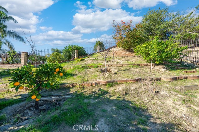 Detail Gallery Image 47 of 58 For 24301 Sunnycrest Ct, Diamond Bar,  CA 91765 - 4 Beds | 3/1 Baths