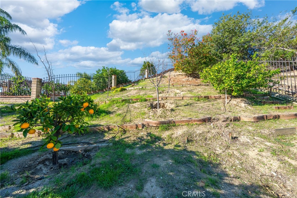 MLS #OC25274238 image #46