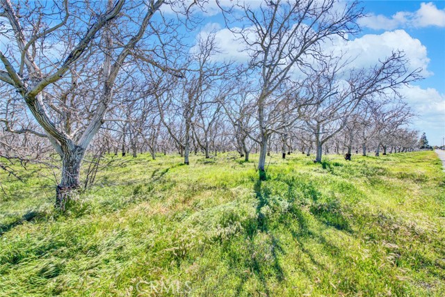 6340 SANTA CRUZ Road, Corning, CA, 96021 6340 SANTA CRUZ Road, Corning, CA, 96021