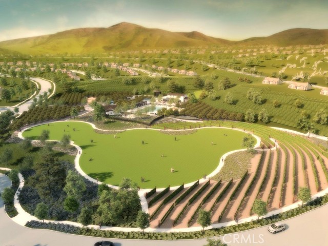 WR Vineyards and citrus orchard Rendering