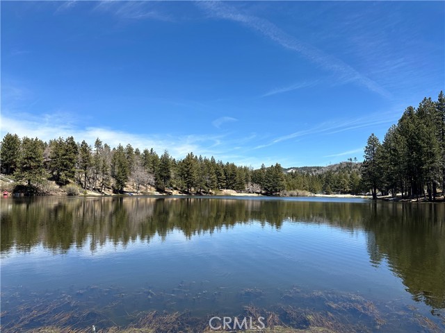 Detail Gallery Image 1 of 1 For 33249 Green Valley Lake Rd, Green Valley Lake,  CA 92341 - 3 Beds | 1/2 Baths