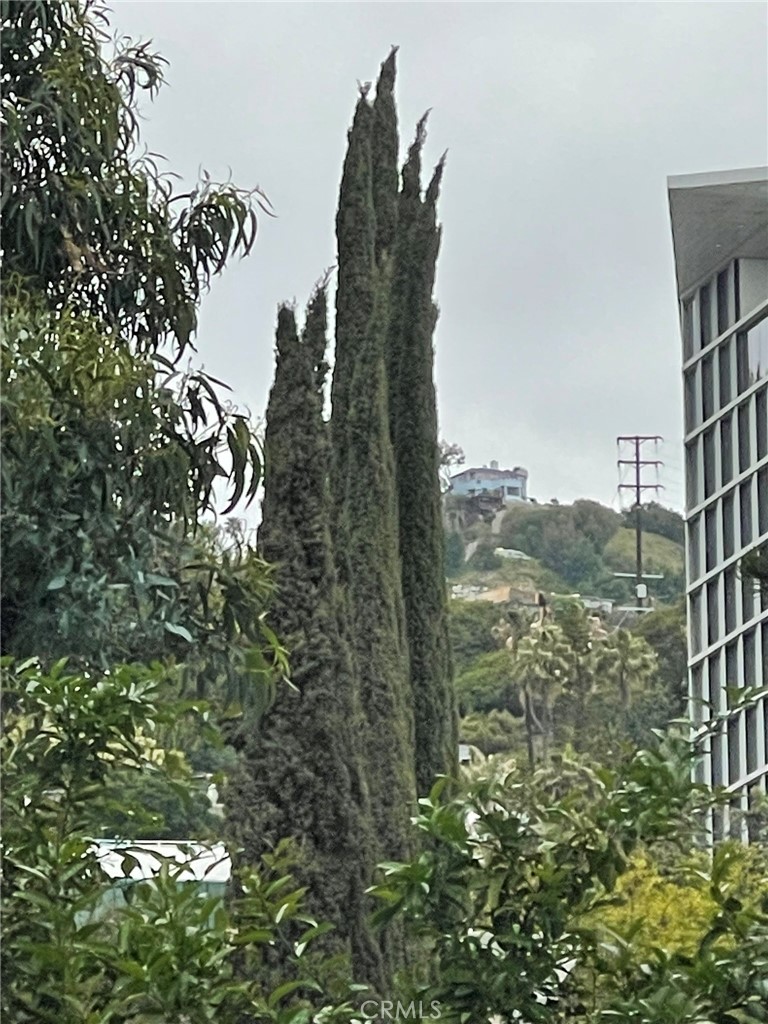 https://media.crmls.org/medias/ca550e2e-580b-498e-b5e0-b1efaa46167d.jpg?preset=X-Large
