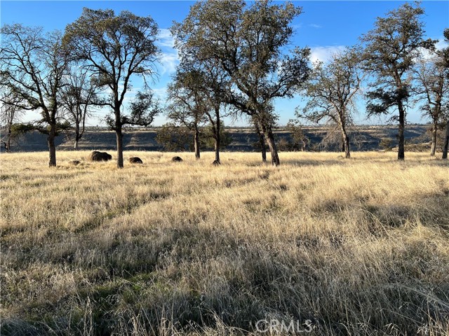 Detail Gallery Image 7 of 10 For 3469 Old Stage Rd, Butte Valley,  CA 95965 - – Beds | – Baths