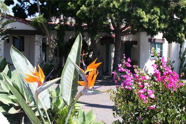 Front Image Thumbnail for CROC26087155