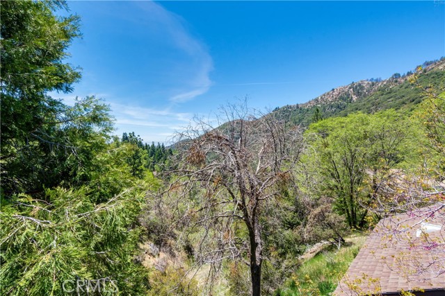 Detail Gallery Image 12 of 33 For 6031 Tripp Ln, Angelus Oaks,  CA 92305 - 4 Beds | 3/1 Baths