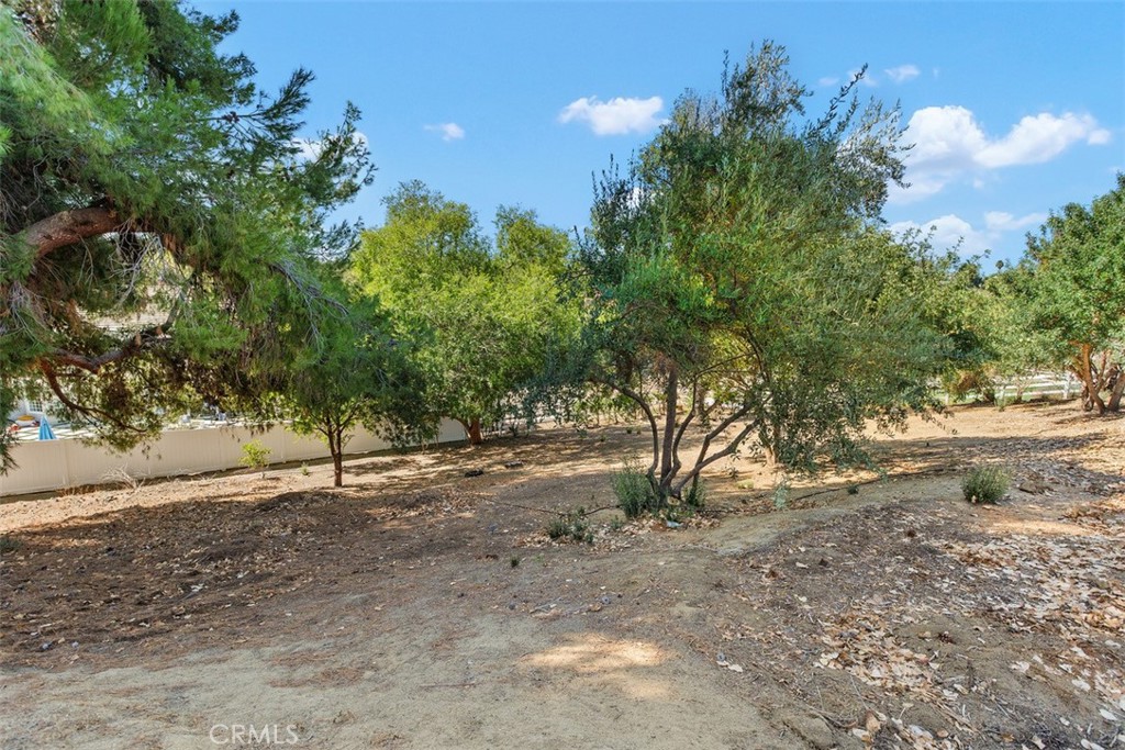 MLS #OC25217279 image #38