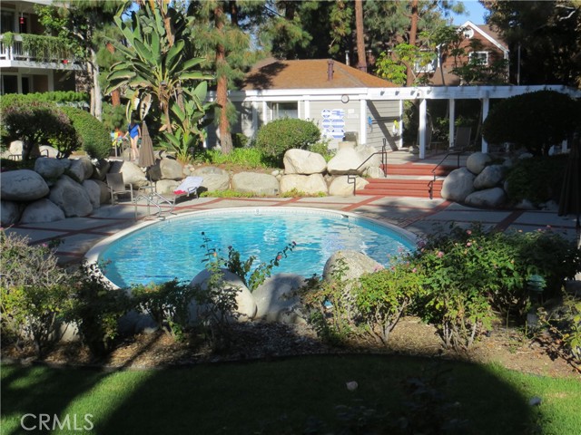 pool view 1
