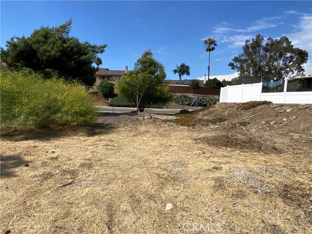 0 Calle Los Arboles, Spring Valley, California 91978, ,Residential Land,For Sale,Calle Los Arboles,AR24148155